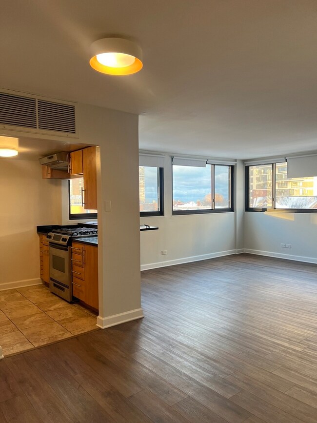 Brandon Shores Condominiums unit 6A, Chicago, IL 60660 - photo 4