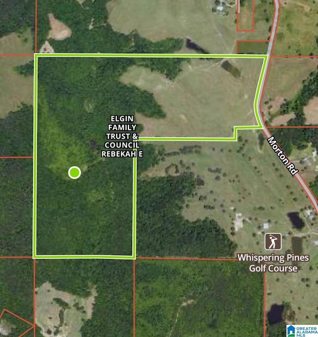 0 Morton Rd unit 21423587, Oneonta, AL 35121 - photo 3