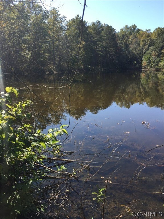 0 Ruther Glen Rd unit 1934018, Caroline, VA 22546 - photo 5