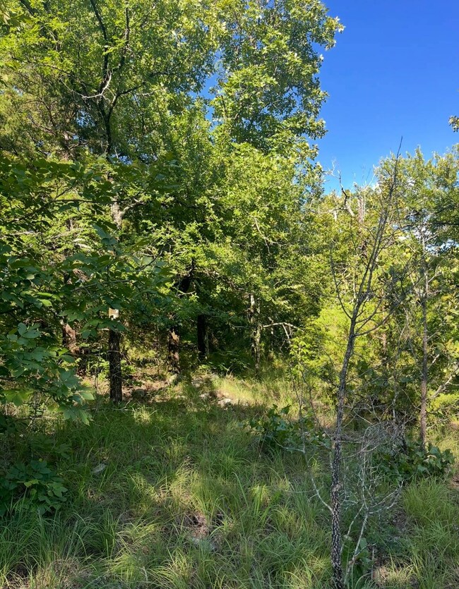 Tract 9B SE 1083 Road Ave, Red Oak, OK 74563 - photo 6