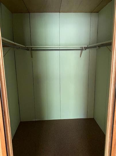 View of spacious closet