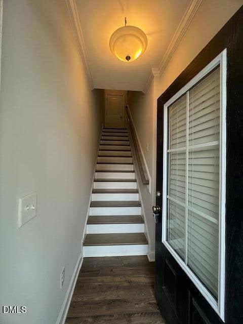 2819 Macbeth Apex - 57