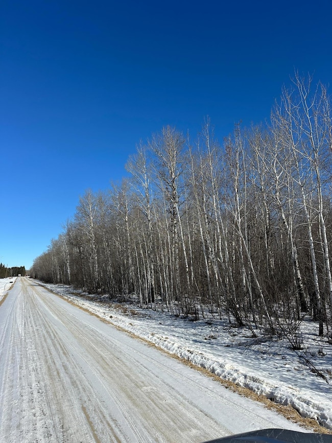 TBD 8th St NW, Baudette Township, MN 56623 - photo 4