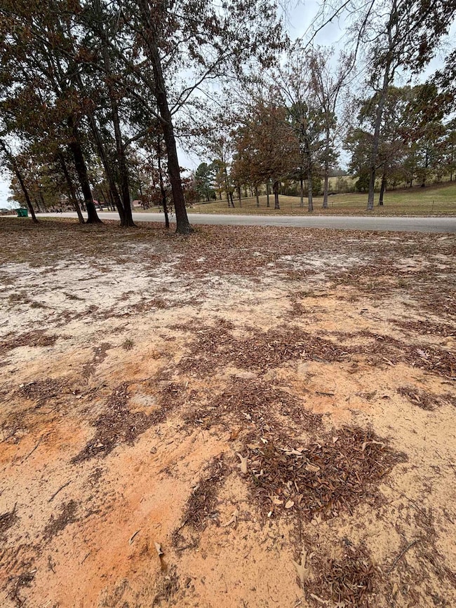 TBD Susan St, Liberty City, TX 75647 - photo 4