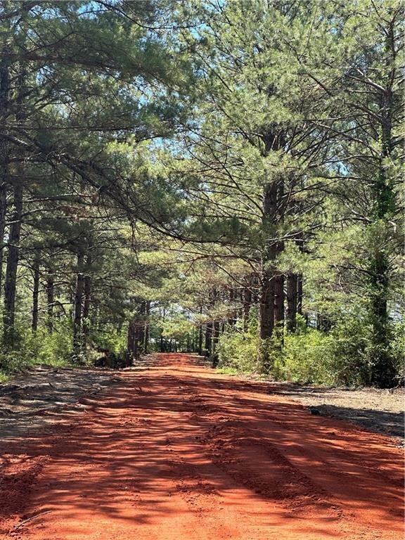 6.671 acres Lawrence Creek Rd, Franklinton, LA 70438 - photo 2