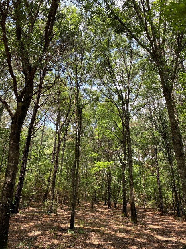 10356 Daw Collins Rd, Cleveland, TX 77328 - photo 3