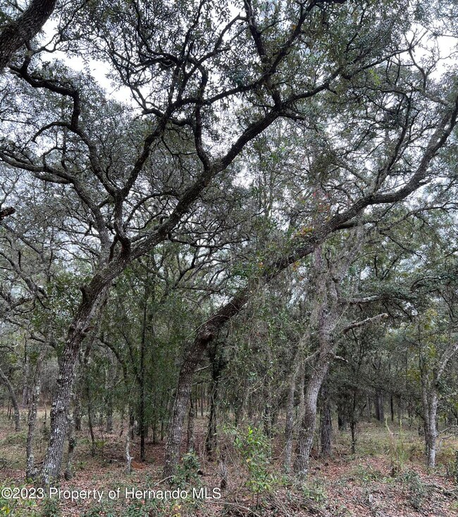 0 SE 133 Terrace unit 2234533, Dunnellon, FL 34431 - photo 3