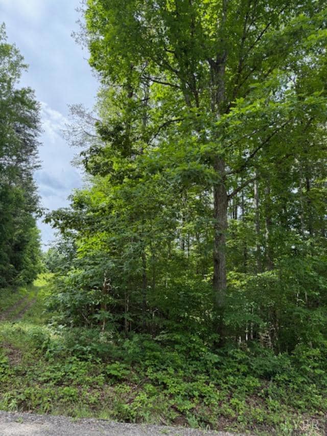 0 E Pamplin Rd, Pamplin, VA 23958 - photo 4