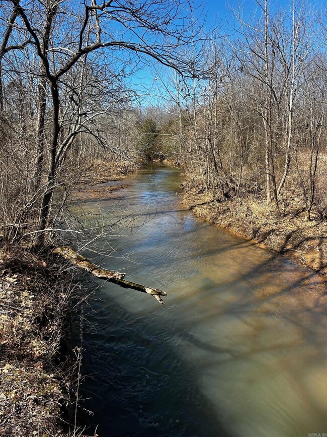 0 Palestine Rd unit 25048571, Warm Springs, AR 72478 - photo 7