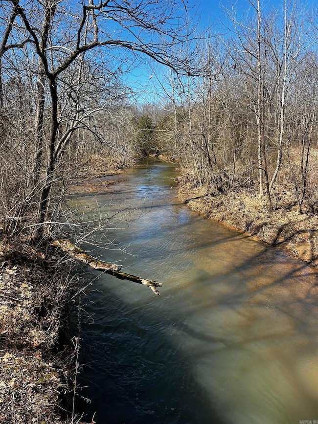 86 Acres Palestine Rd, Warm Springs, AR 72478 - photo 7