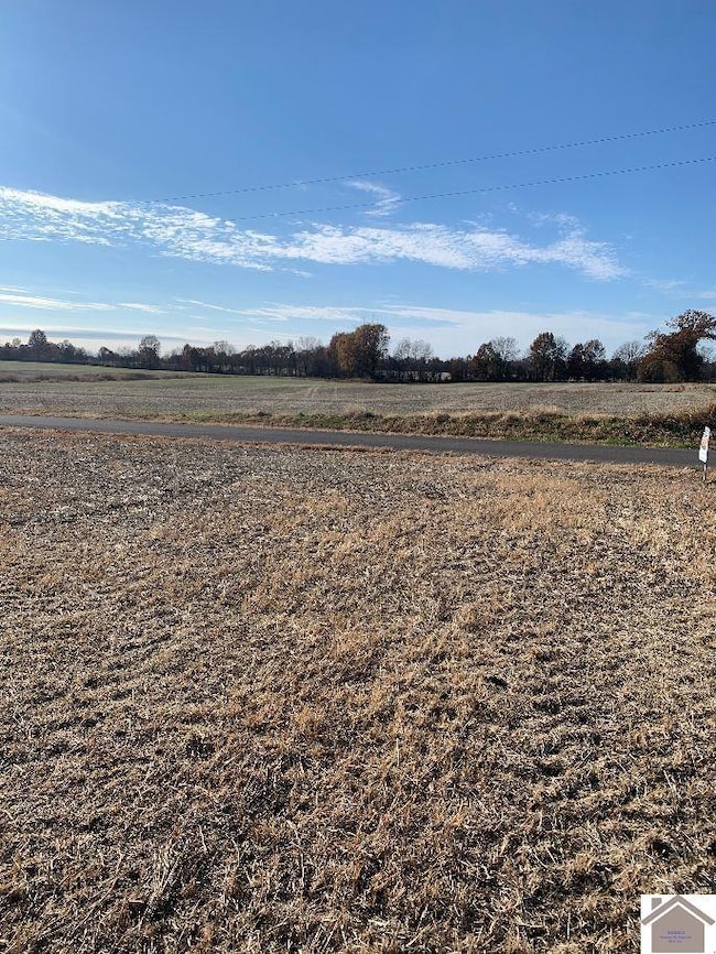 000 Crawford Lake Rd, Kevil, KY 42053 - photo 4