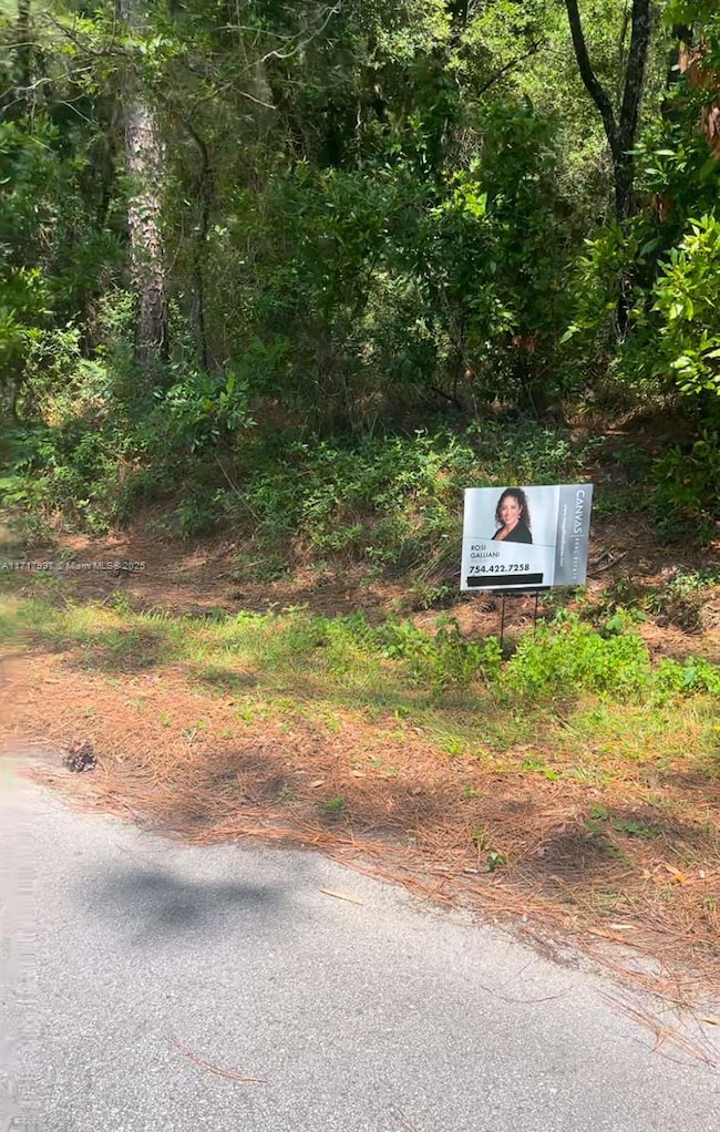 19835 SW 57th St, Ocala, FL 34431 - photo 3