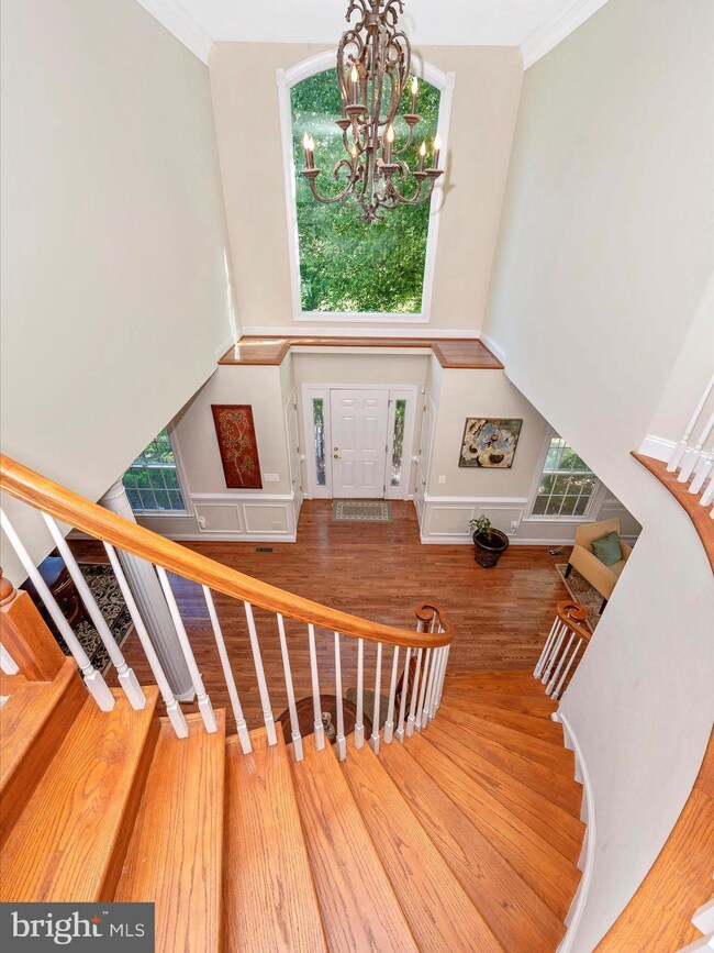 611 Traveller Ct, Lothian, MD 20711 - photo 6