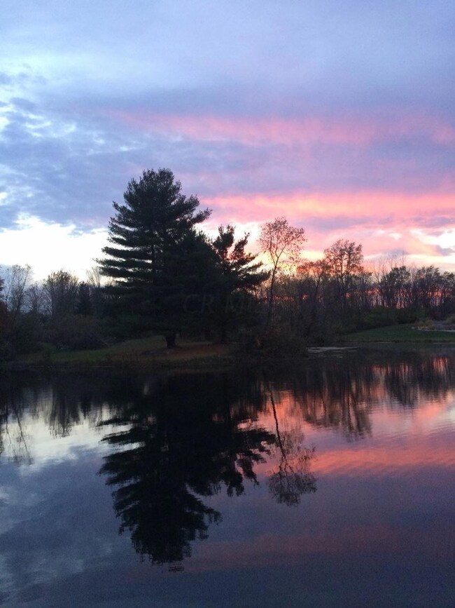 4280 Curve Rd - Pond