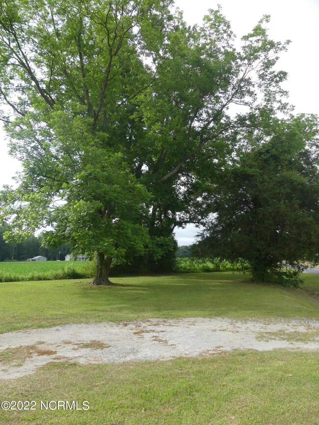 P1020474