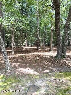 3527 Fairway Crest Dr SW, Shallotte, NC 28470 - photo 6