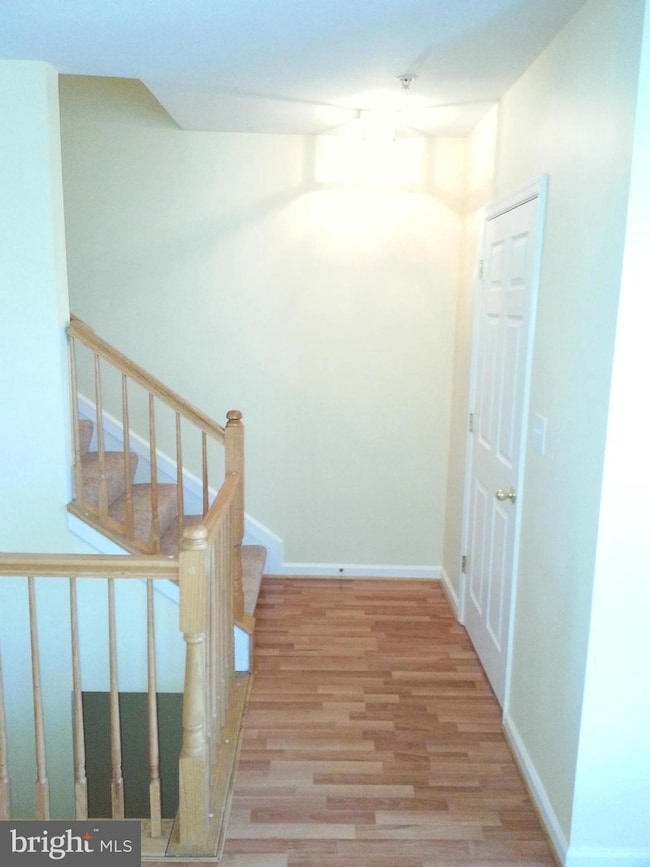 2060 University Blvd W, Silver Spring, MD 20902 - photo 5