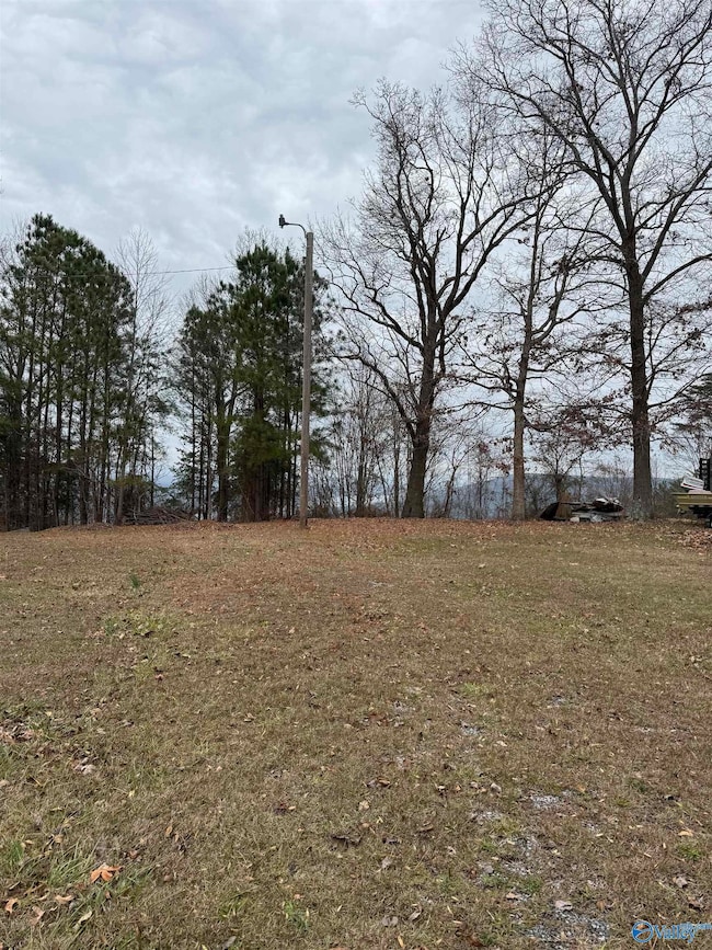 1960 County Road 223, Dutton, AL 35744 - photo 7