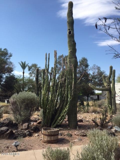 3811 E Mckellips Rd, Mesa, AZ 85215 - photo 4