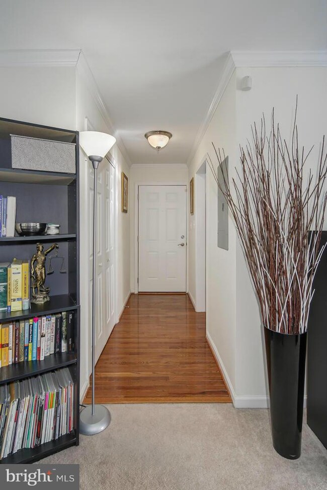 3330 Spring Ln unit D20, Baileys Crossroads, VA 22041 - photo 5