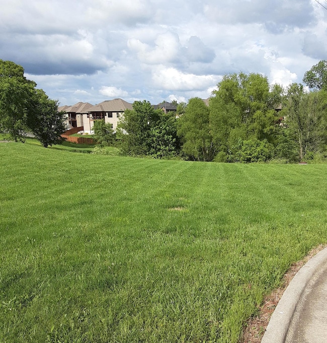 815 E Twin Maple Ct, Nixa, MO 65714 - photo 2