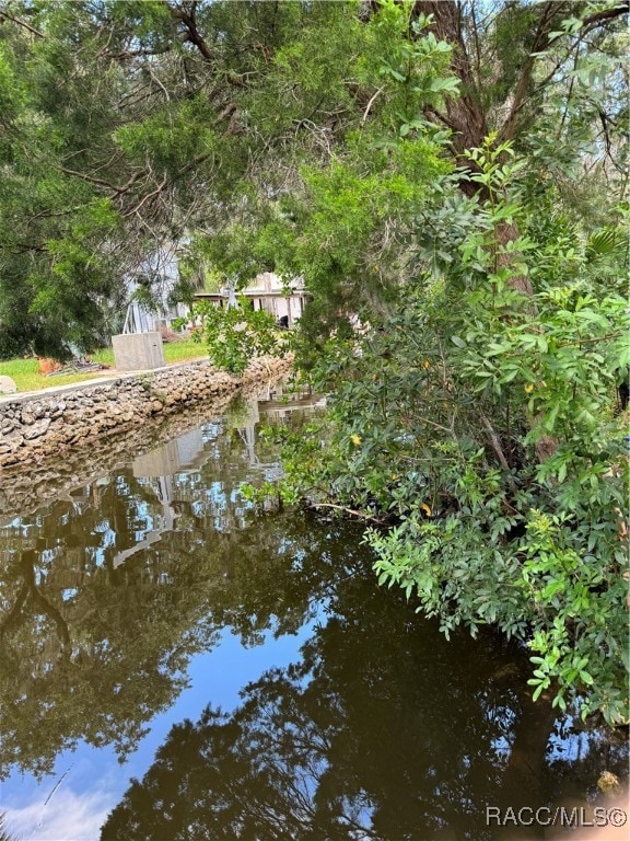 14208 W Sutton Ct, Crystal River, FL 34429 - photo 5