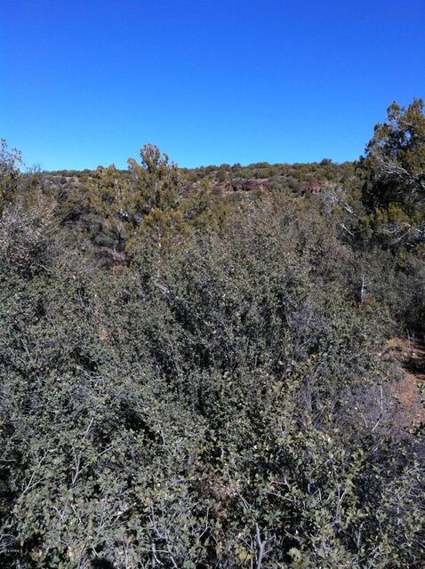 Lot 245 Badger Ridge Rd unit 245, Kingman, AZ 86401 - photo 6