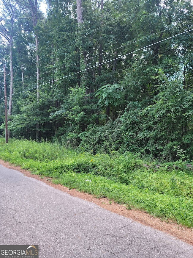 0 Poplar Ave unit 10580022, Morrow, GA 30260 - photo 4