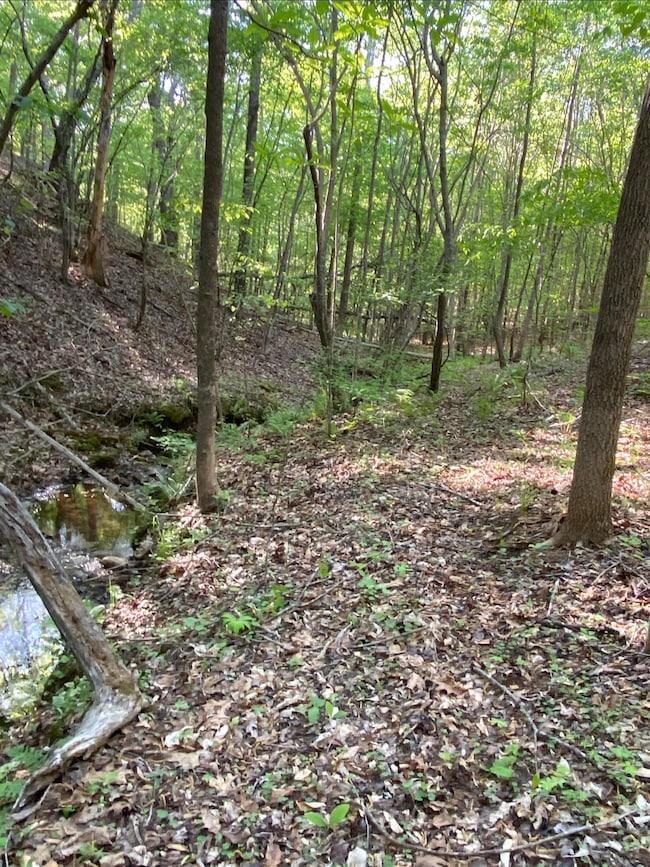 OpenWoodsSpring
