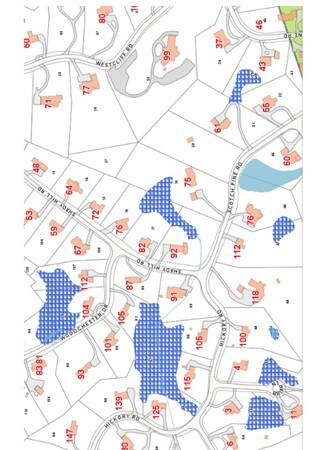 75 Scotch Pine Rd, Weston, MA 02493 - photo 6