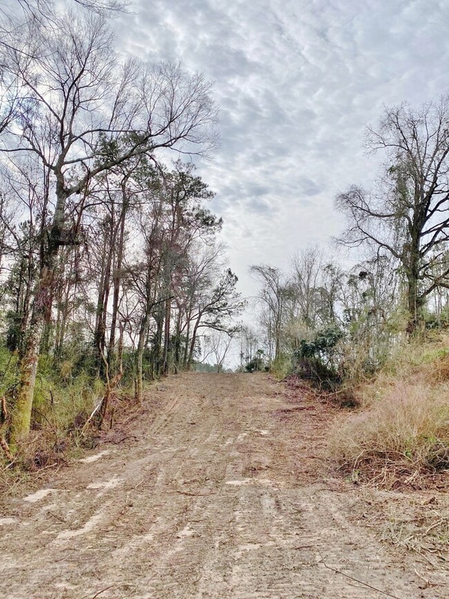 000 Maggie Johnson Rd, Tylertown, MS 39667 - photo 3