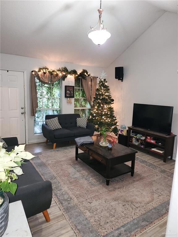 Living room with vaulted ceiling and wood-type flooring