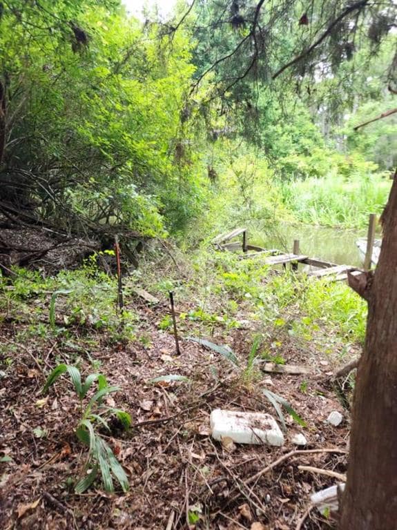 1.40 Acres Vacant Land, Ponchatoula, LA 70454 - photo 3