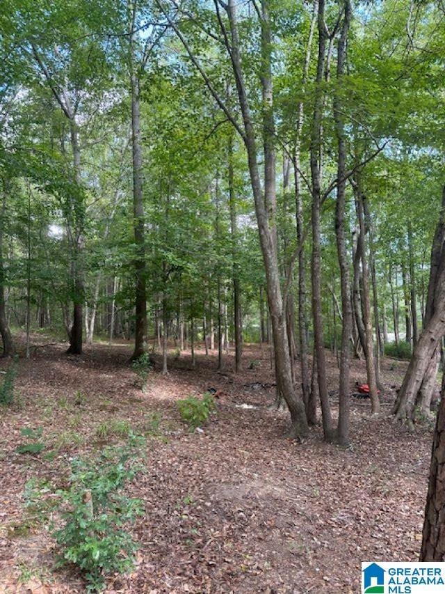 2227 Harris Wright Dr, Birmingham, AL 35242 - photo 4