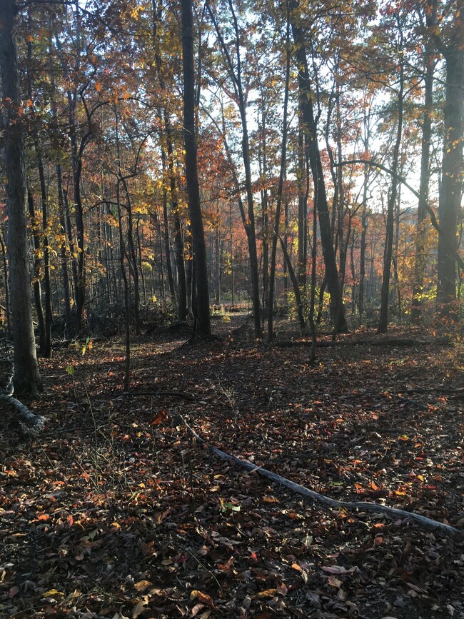 5610 Parker Branch Rd, Franklin, TN 37064 - photo 3