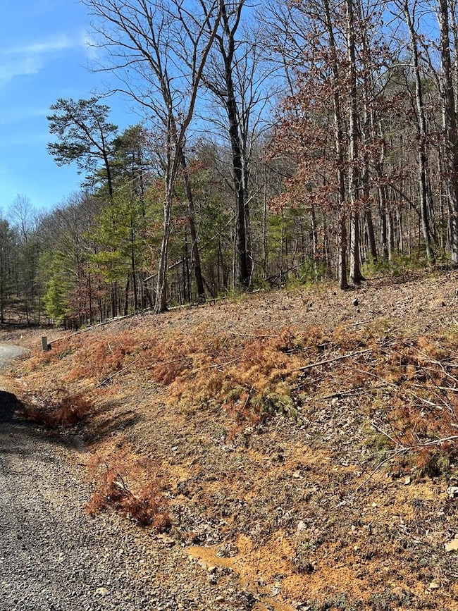 TBD New River Oaks Dt, Austinville, VA 24312 - photo 4