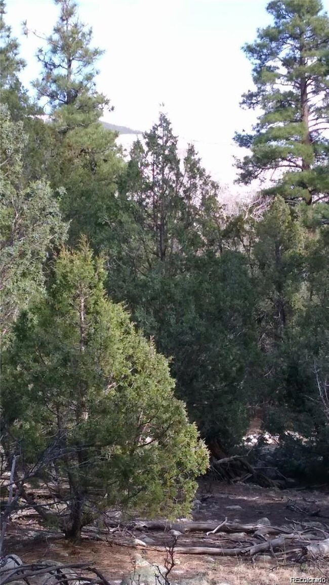 13 Costilla Place unit 12, 13, 14, Mosca, CO 81146 - photo 7