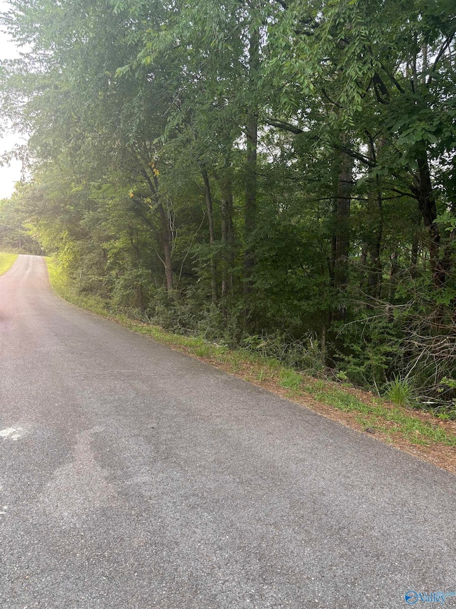 1 Berkley Hills Dr W, Southside, AL 35907 - photo 3