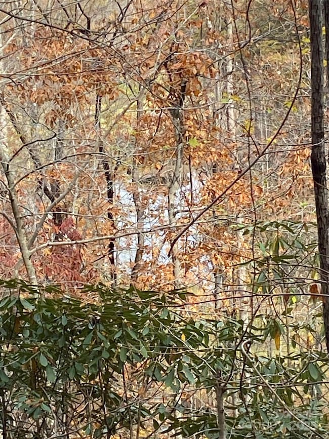 0000 Raleigh Dr unit 8 & 9, Lake Lure, NC 28746 - photo 6