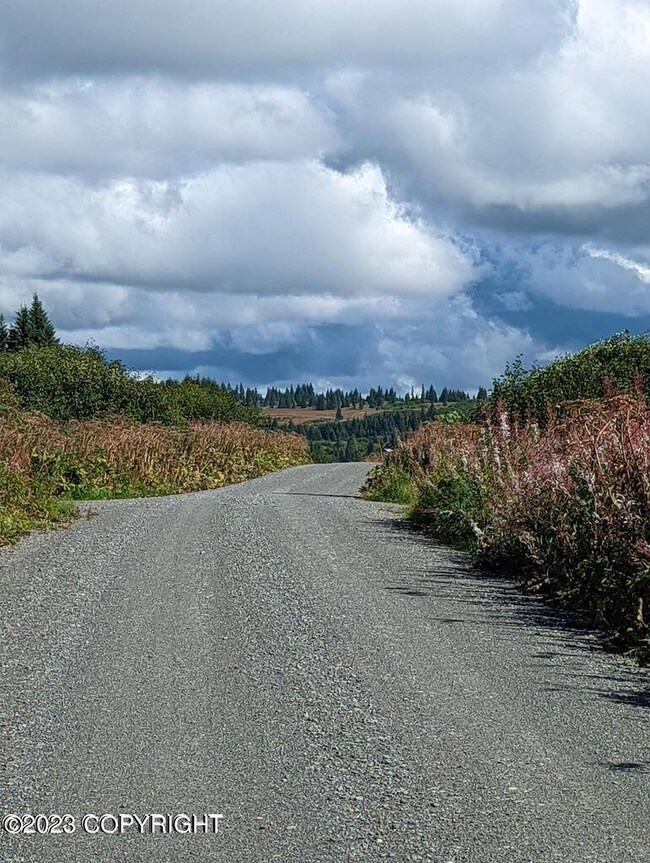 32680 Regal St, Anchor Point, AK 99556 - photo 3