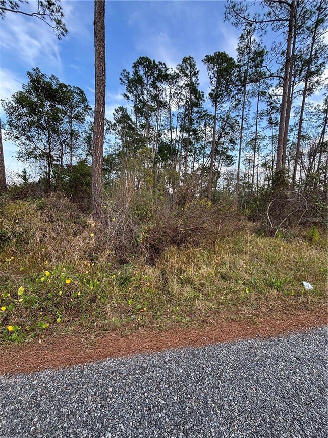 0 5th Ave unit MFRV4940662, Deland, FL 32724 - photo 5