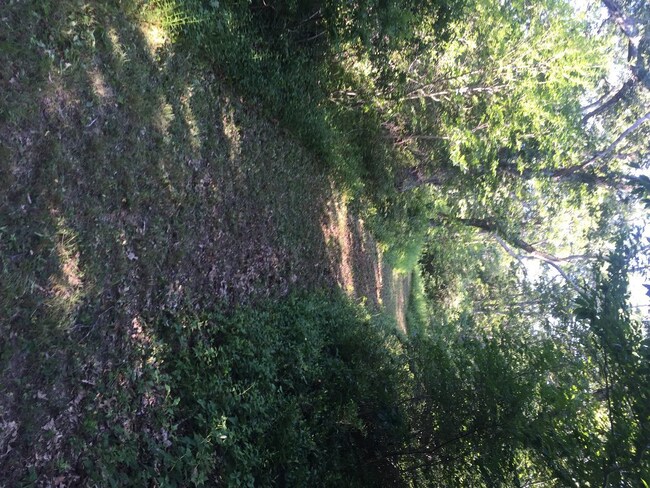 Path Further in Property