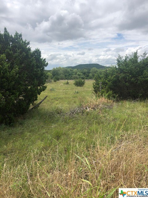 1266 Lutheran Church Rd, Copperas Cove, TX 76522 - photo 2