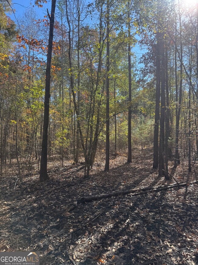 4523 Georgia 18, West Point, GA 31833 - photo 6