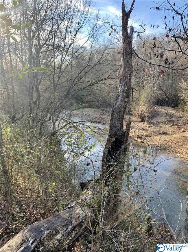 1349 County Road 117, Rogersville, AL 35652 - photo 5