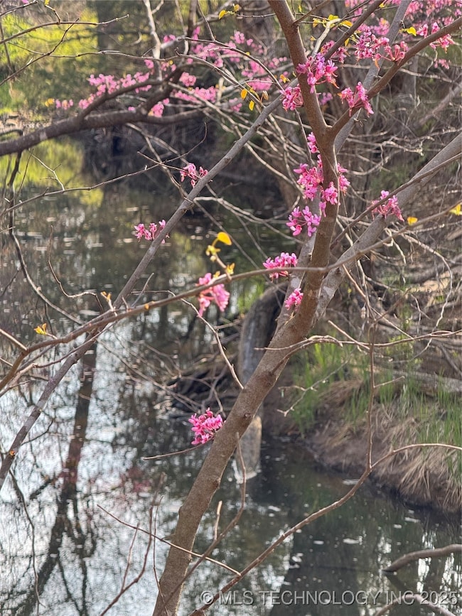101 Oklahoma 31, McAlester, OK 74501 - photo 6