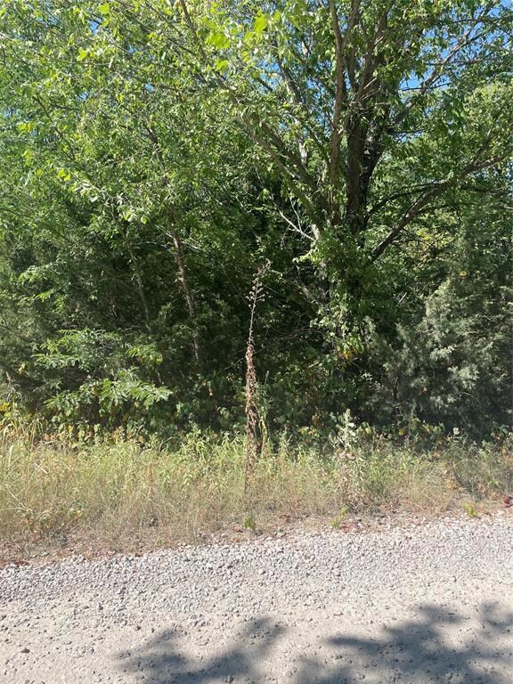 TBD SE Cr 3048d, Corsicana, TX 75109 - photo 4