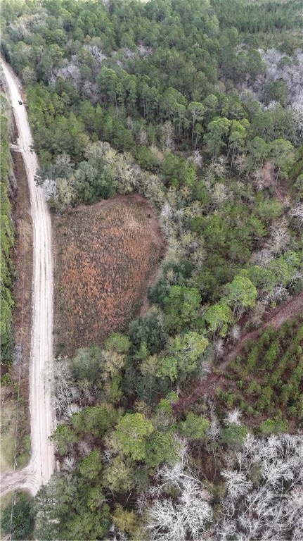 0 Mt Hope Rd unit Lot 5B, Guyton, GA 31312 - photo 3