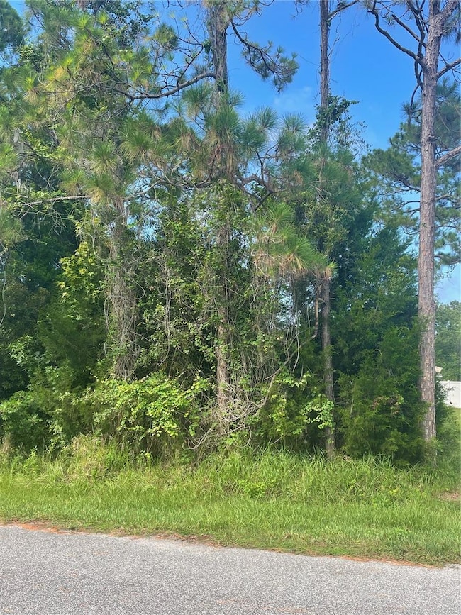 7 Birchfield Place, Palm Coast, FL 32137 - photo 5