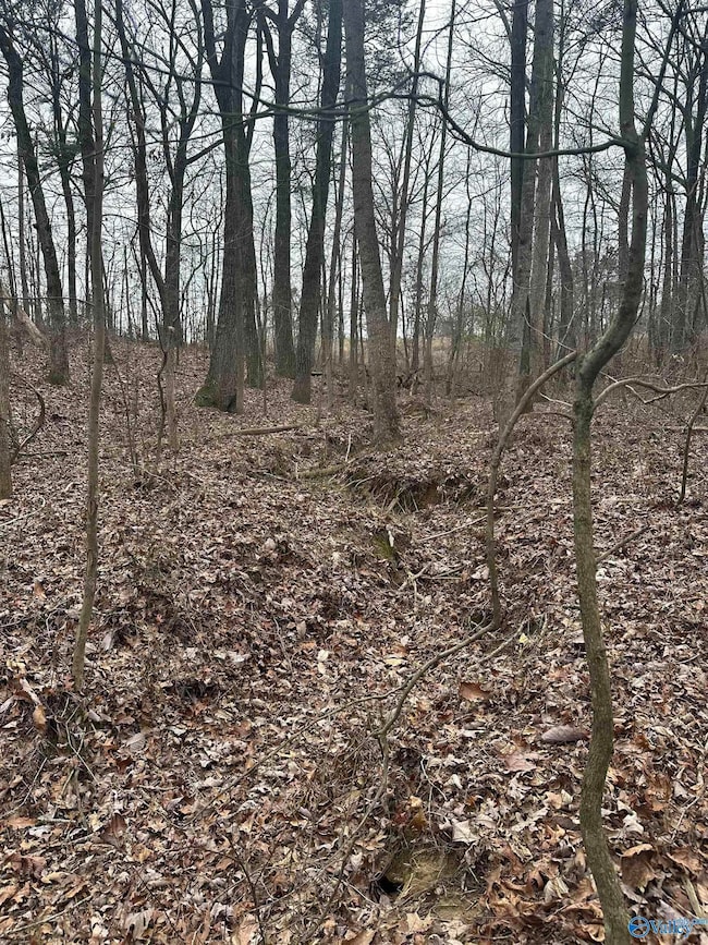 123456 County Road 121, Fort Payne, AL 35968 - photo 6